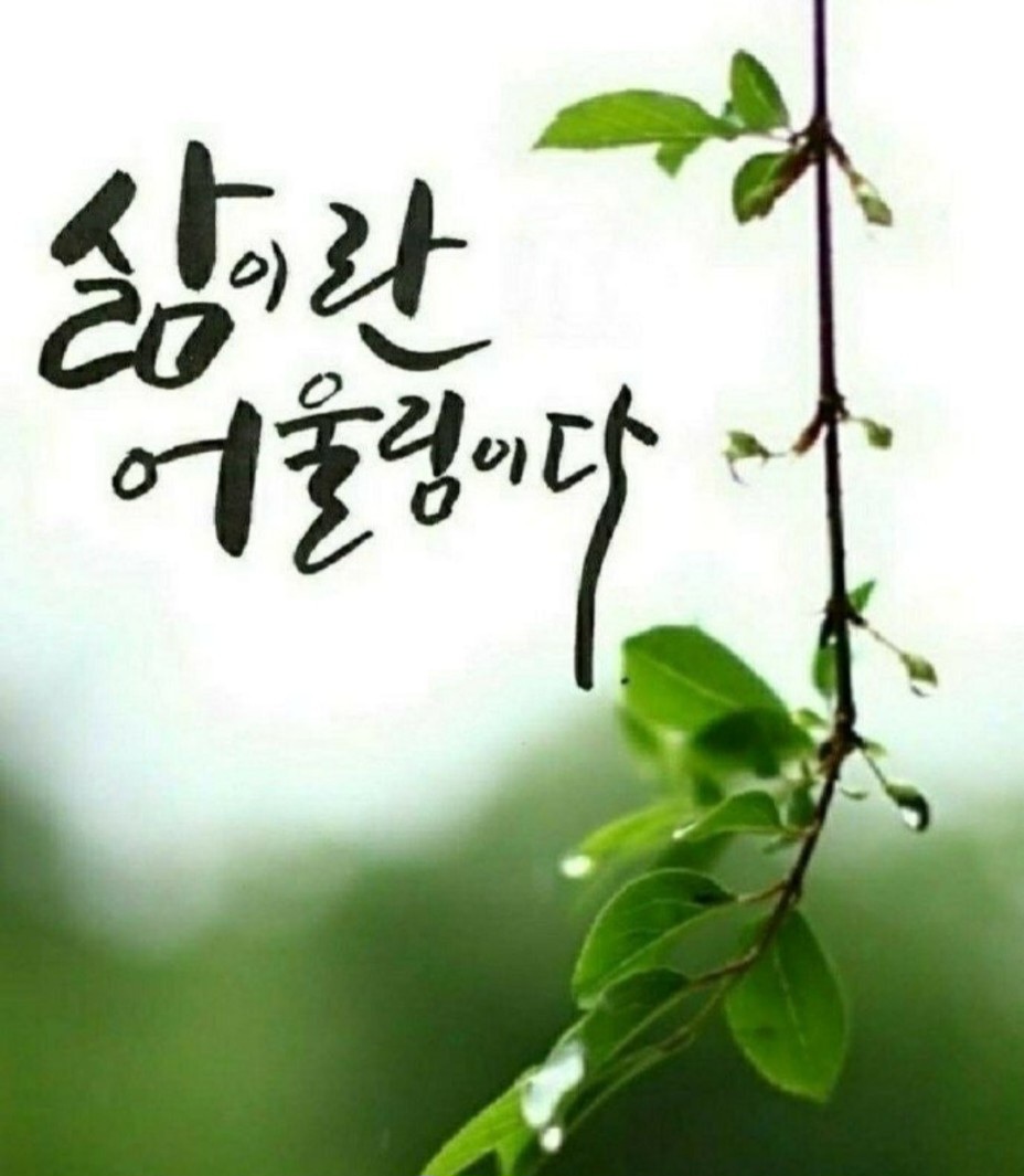 피드에 업로드 된 이미지