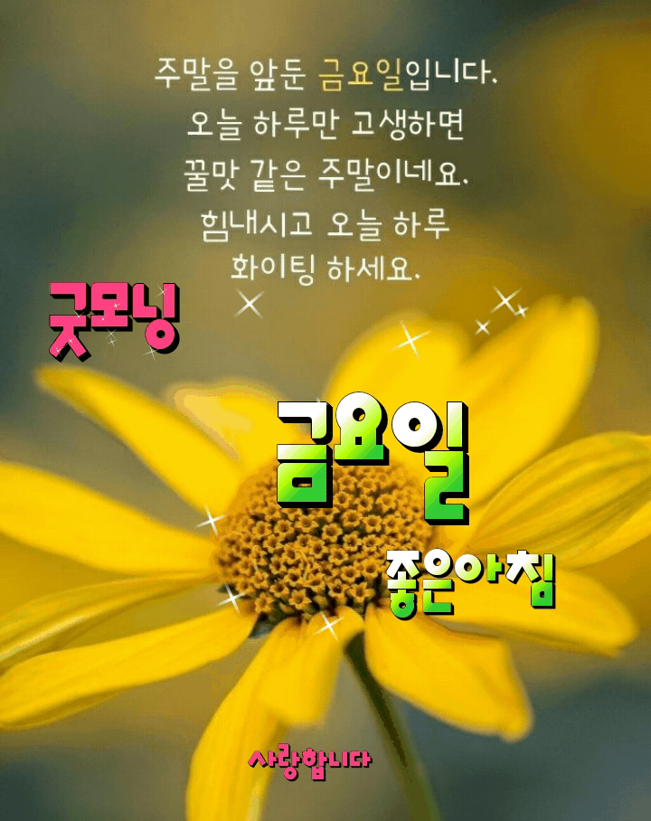 피드에 업로드 된 이미지