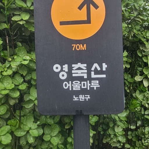 피드 이미지