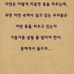 피드에 업로드 된 이미지