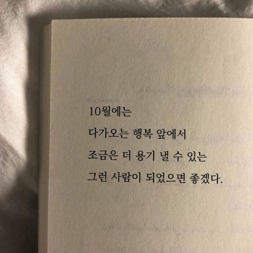피드 이미지