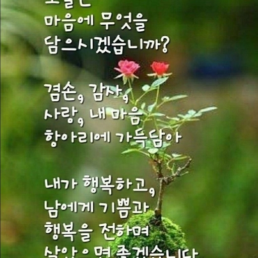 피드 이미지