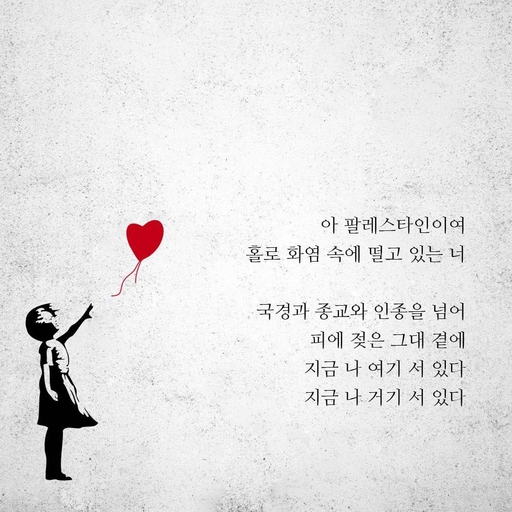 피드 이미지