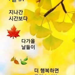 피드에 업로드 된 이미지