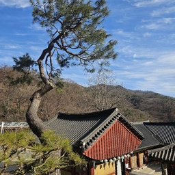 피드에 업로드 된 이미지