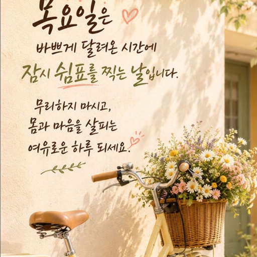 피드 이미지