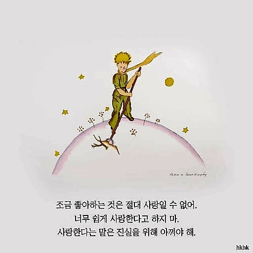피드 이미지