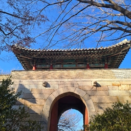 피드에 업로드 된 이미지