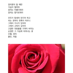 피드에 업로드 된 이미지
