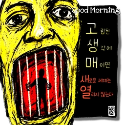 피드에 업로드 된 이미지