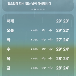 피드에 업로드 된 이미지