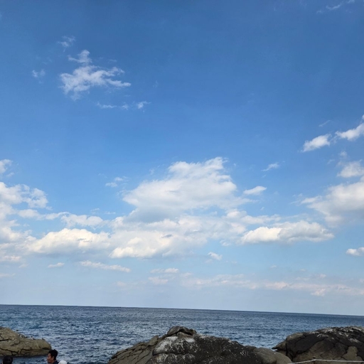 피드 이미지