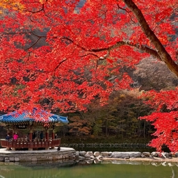 피드에 업로드 된 이미지