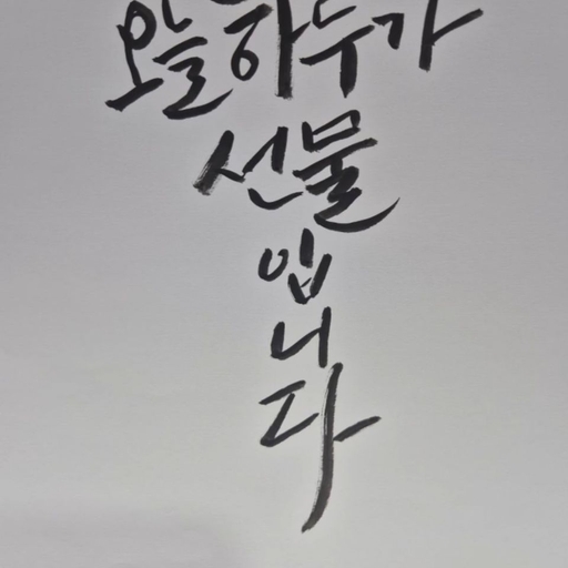 피드 이미지