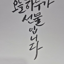 피드에 업로드 된 이미지