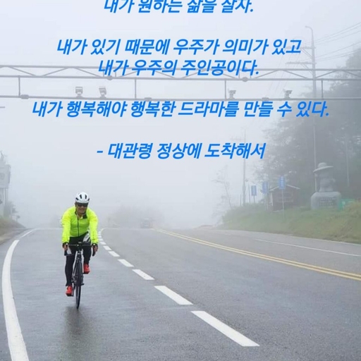 피드 이미지