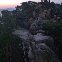 피드에 업로드 된 이미지