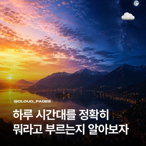 피드 이미지