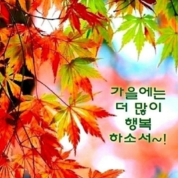 피드에 업로드 된 이미지