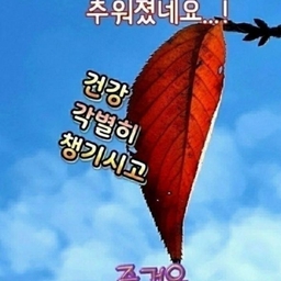 피드에 업로드 된 이미지