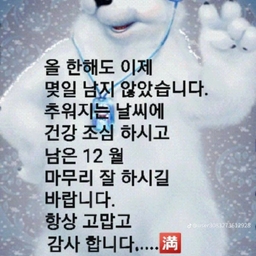 피드에 업로드 된 이미지