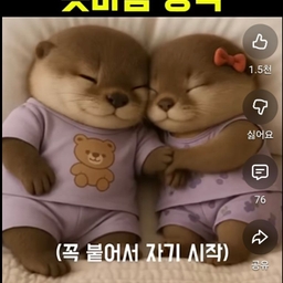 피드에 업로드 된 이미지