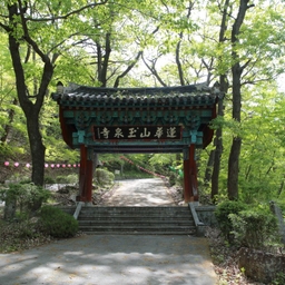 피드에 업로드 된 이미지
