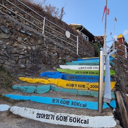 피드에 업로드 된 이미지