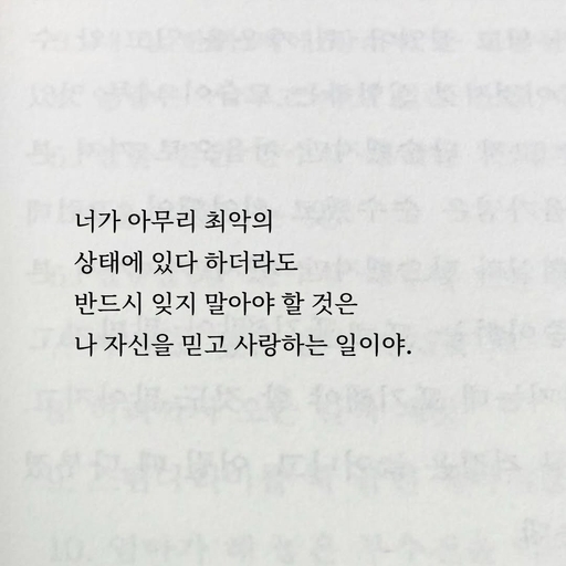 피드 이미지