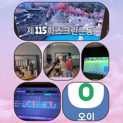피드 이미지