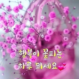 피드에 업로드 된 이미지