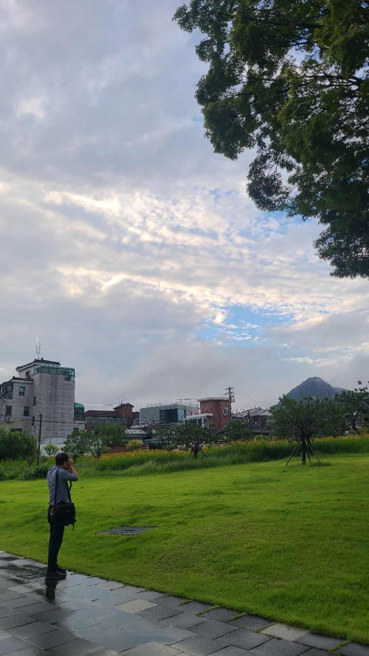 피드 이미지