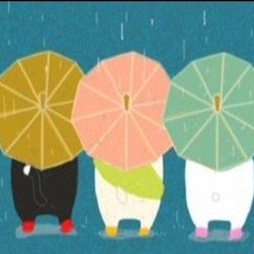 피드 이미지