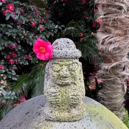 피드에 업로드 된 이미지