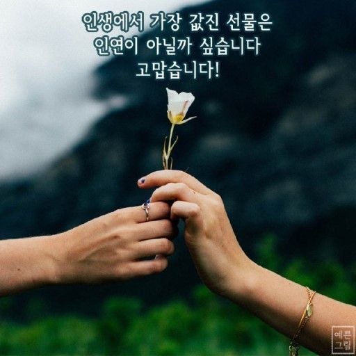 피드에 업로드 된 이미지