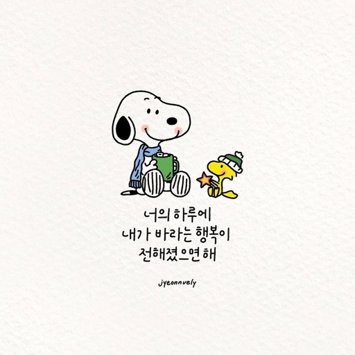 피드 이미지