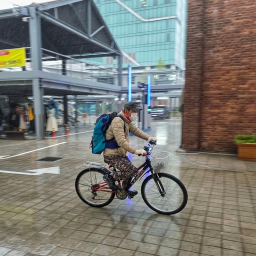 피드 이미지