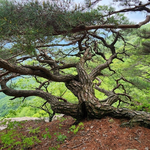 피드 이미지