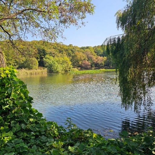 피드 이미지