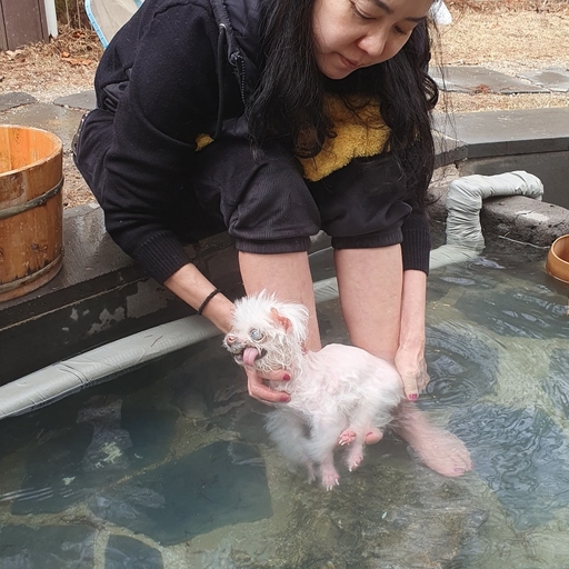 피드 이미지