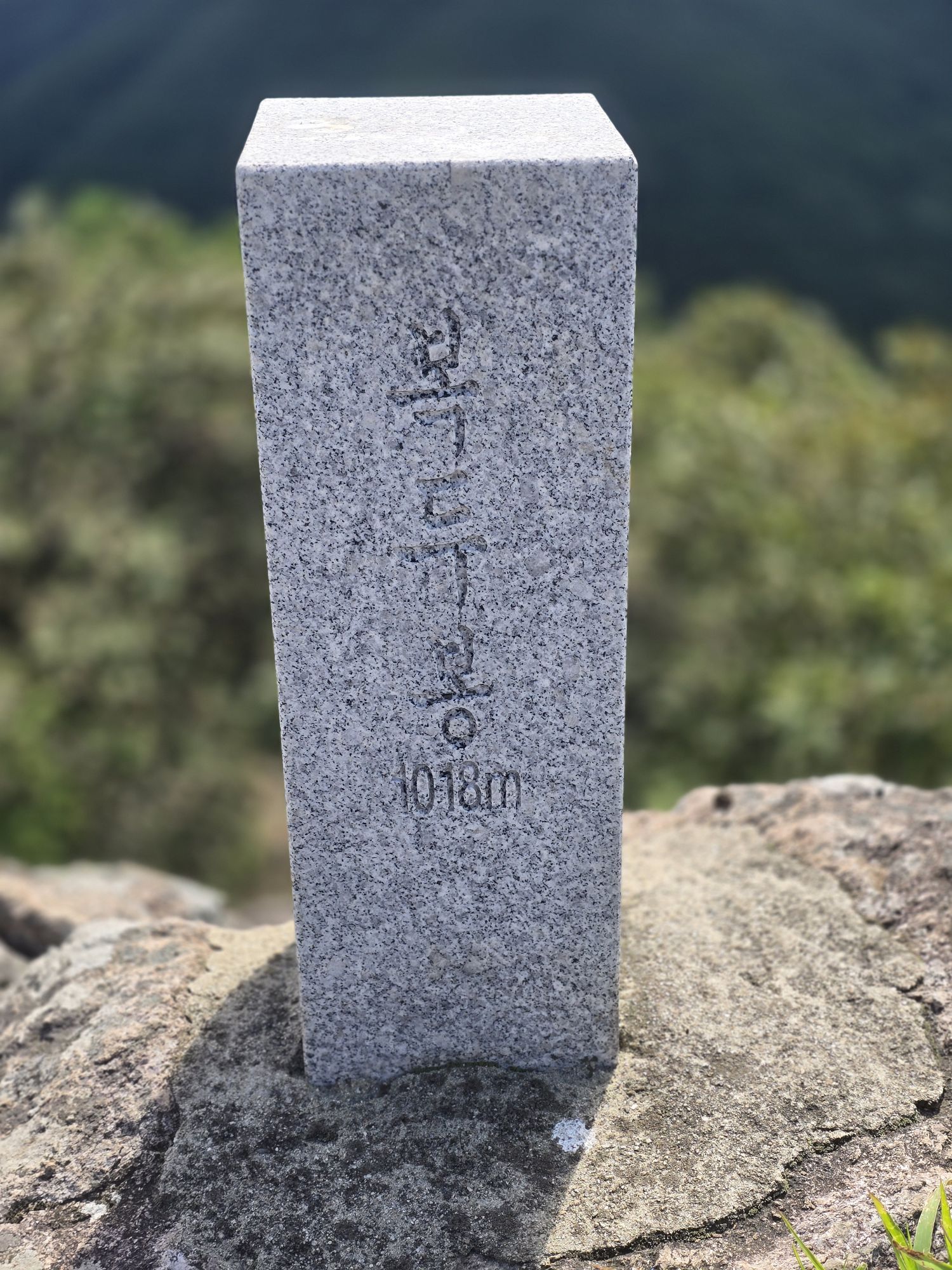 피드 이미지
