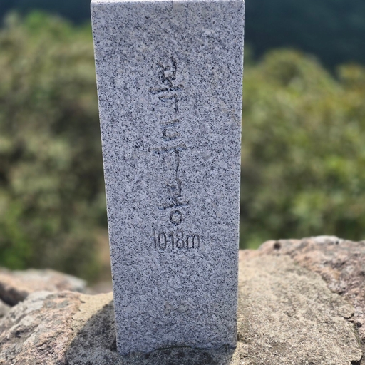피드 이미지