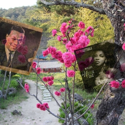 피드에 업로드 된 이미지