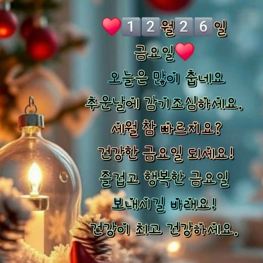 피드 이미지