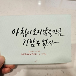 피드에 업로드 된 이미지