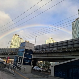 피드에 업로드 된 이미지