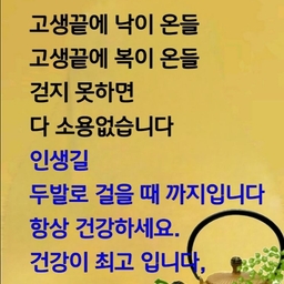 피드에 업로드 된 이미지