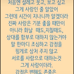 피드에 업로드 된 이미지