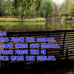 피드에 업로드 된 이미지