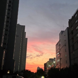 피드에 업로드 된 이미지